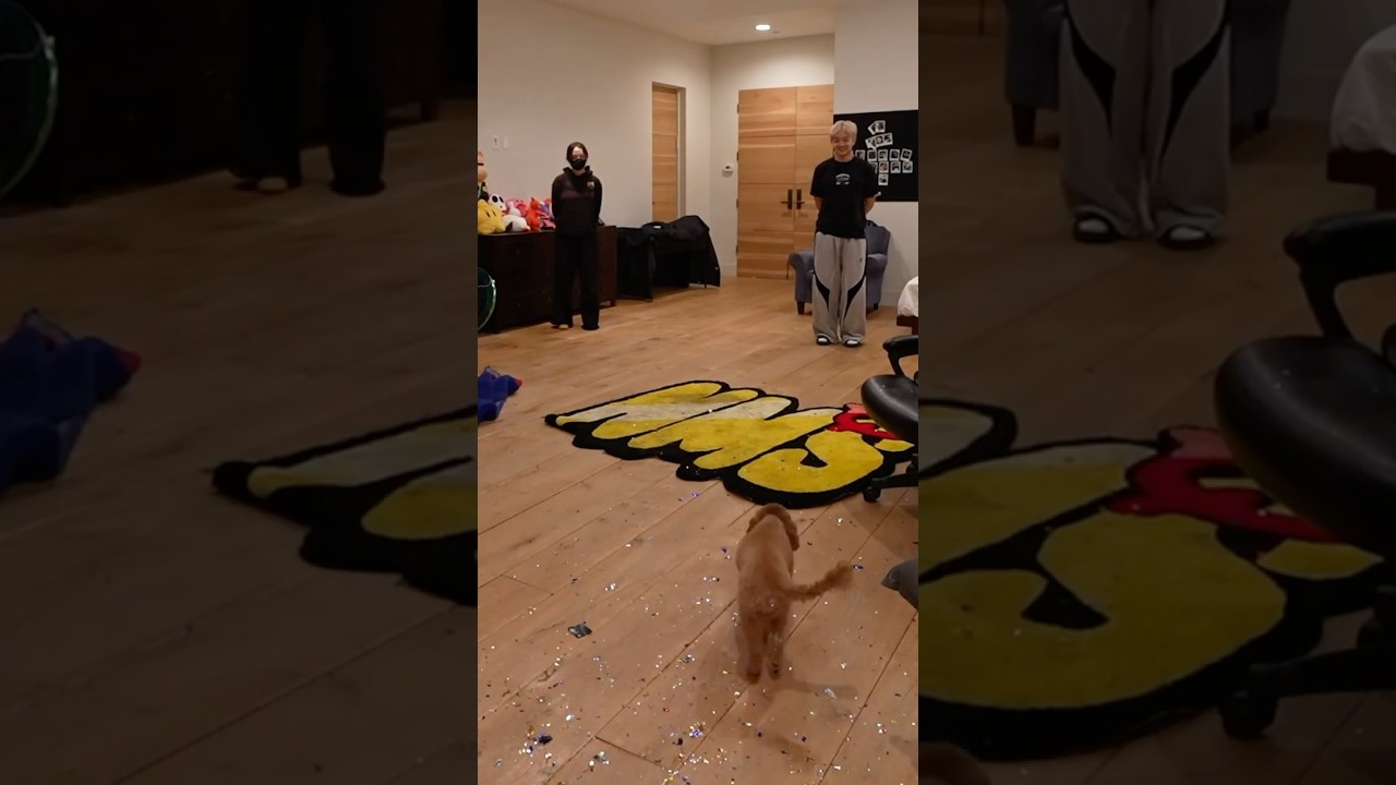 Мика выбирает между Джейсоном и Сакурой 🐶😂