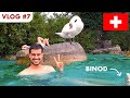 Swimming with Binod in Switzerland | Dhruv Rathee Vlog