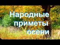 Народные приметы осени