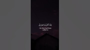 تلاوة تقشعر لها الأبدان بصوت ماهر المعيقلي #قرآن #راحة_نفسية #اكسبلور