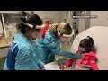 Florida hospital sees more coronavirus in children