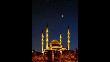 sourate at taghabun  سورة التغابن