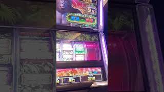 Casino-87 free spins! Apex Gorilla reel.