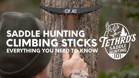 How to Saddle Hunt (Climbing Sticks Explained)