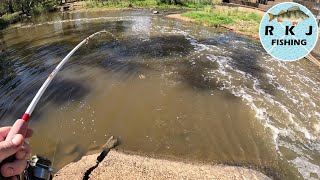 Spillway Float Fishing With Corn