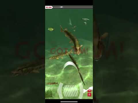 Rapala daily catch (Finding and catching legendary fish)￼ read description!