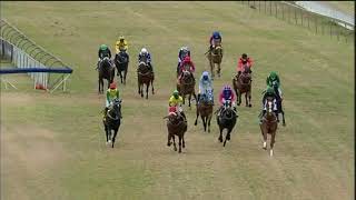 Vidéo de la course PMU PRIX CALL TELEBET TRACK & BALL FIXED ODDS ON 031 314 1155 MAIDEN PLATE