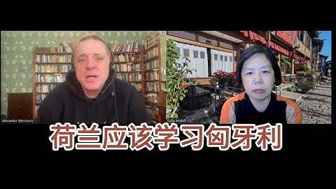 【对话亚历山大】中国不要荷兰安世 德国的问题是中国的错