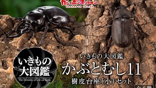 Ikimono Encyclopedia Beetle 11 Tree Bark Pedestal (Small) Set