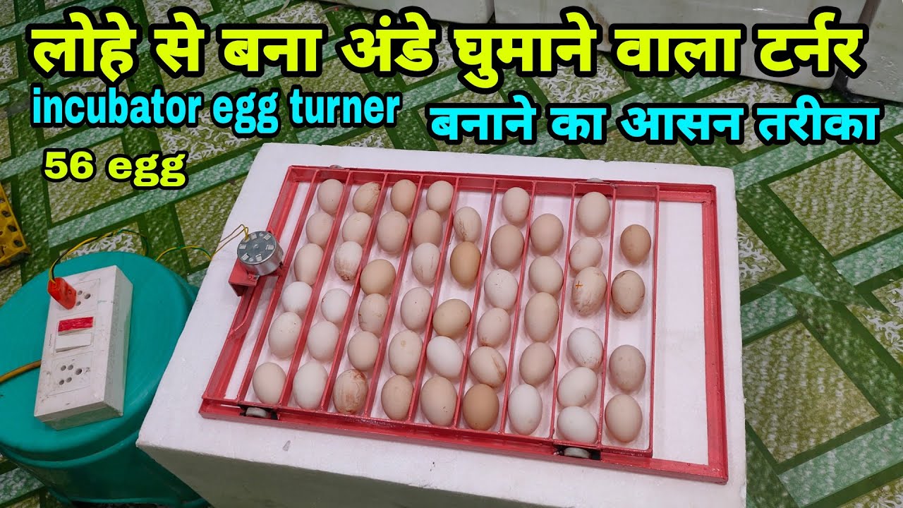 अंडो को घुमाने वाला टर्नर घर पर बनाने का आसन तरीका | incubator egg turner