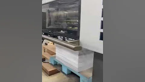 Heidelberg CD102 6 Col+ Double Coater 28x40" (72 x 102 cm) 1994