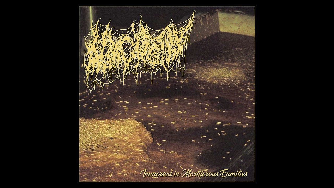Watch Morgue Tar - Immersed In Mortiferous Enmities (2022) Goregrind/D-Beat on YouTube Watch Morgue Tar - Immersed In Mortiferous Enmities (2022) Goregrind/D-Beat on YouTube