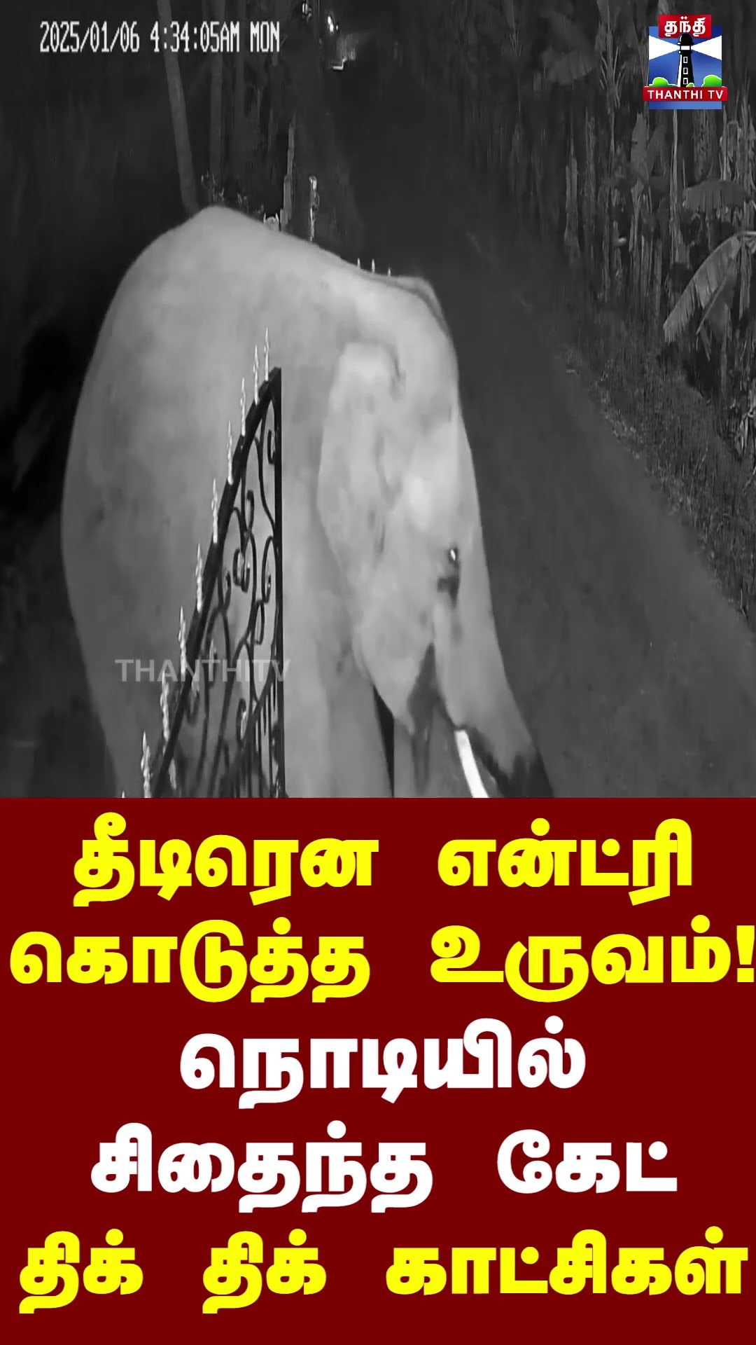 தீடிரென என்ட்ரி கொடுத்த உருவம்! நொடியில் சிதைந்த கேட் திக் திக் காட்சிகள்