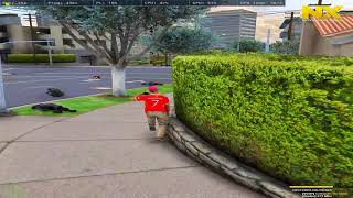 HIGHLIGHTS FIVEM #28