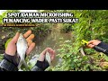 Pecinta wader pasti suka spot kaya gini mancing wader pakai teknik kumbul spot irigasi kecil