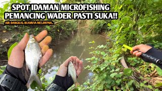 PECINTA WADER PASTI SUKA SPOT KAYA GINI!! Mancing wader pakai teknik kumbul spot irigasi kecil