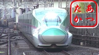東京駅を発着する新幹線  はやぶさ こまち つばさ やまびこ あさま とき たにがわ Japanese Bullet Train - Shinkansen