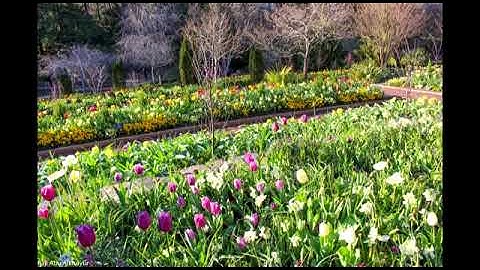 اجمل تلاوه خاشعه الا بذكر الله تطمئن القلوب