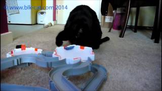 Blk Cat's New Hexbug Elevation Track