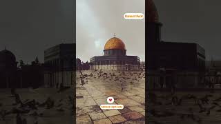 Masjid Aqsa View️ #masjidaqsa #aqsa #alaqsa #palestine #jerusalem #foryou #islamic #masjidalaqsa