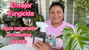 ¿El peróxido de hidrógeno mata las plantas?