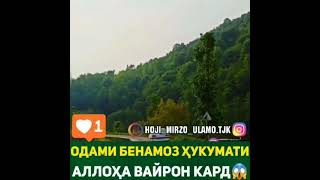 Хочи Мирзо 👍 Илтимос подписаться кунед бародаро 🙏(3)