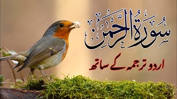 ✅Surah ar-rahman|سورة الرحمن| full with Arabic text ( HD ) Al Quran Tilawat AQT 