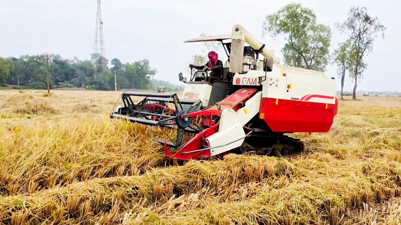 Gam Harvester Paddy Cutting | Gam New Model 2025