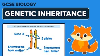 Genetic Inheritance - GCSE Biology