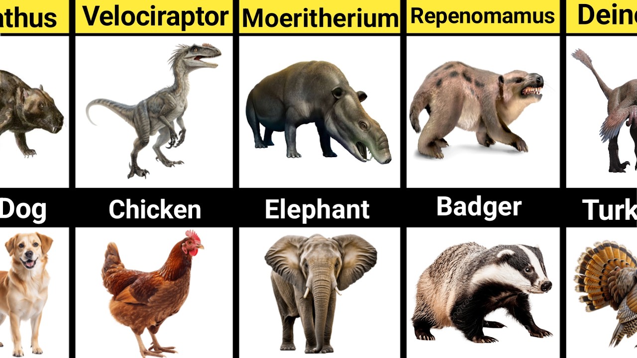 Animals With the Most Shocking Evolution Stories (Unbelievable ...