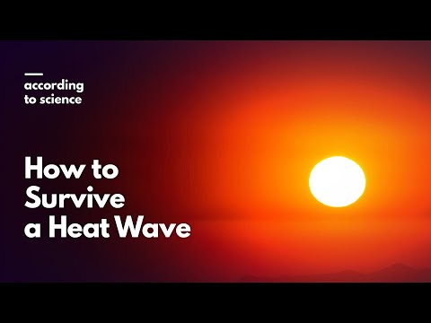 How to Survive a Heat Wave, According to Science