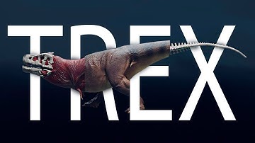 Tyrannosaurus Rex! Test Animation of Walking! Skin-Muscles-Bones!