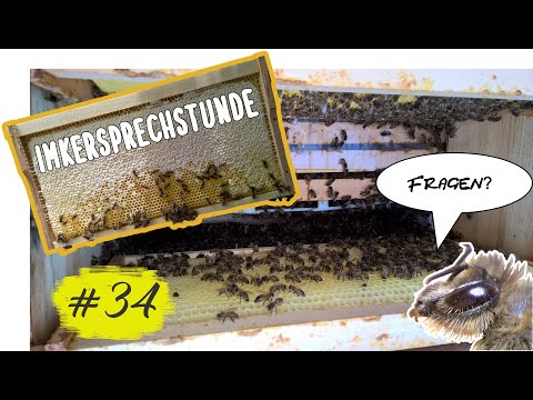 Imkersprechstunde #34 - Ihr habt Fragen zu den Bienen? - Wir geben Antworten - 12.07.22