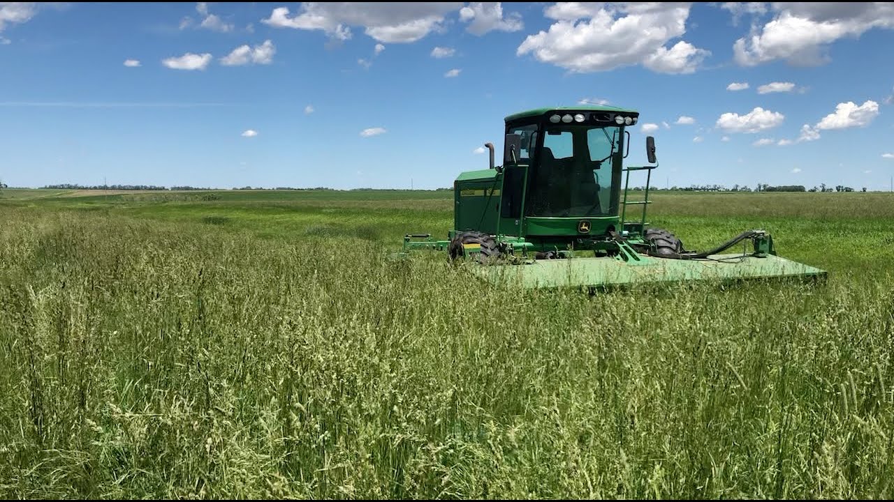 Cutting Orchard Grass/Alfalfa with JD 4995 | Farmer in the Boot