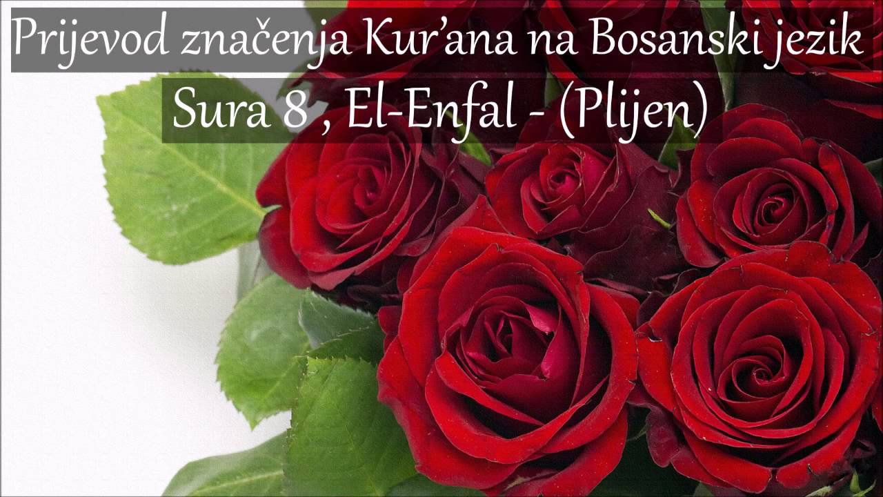 Sura 8 , El-Enfal - (Plijen) Prijevod na Bosanski ᴴᴰ