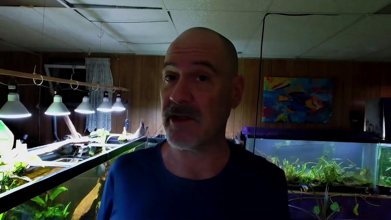 55 Gets A Haircut