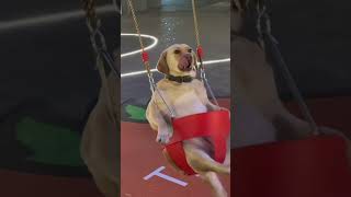 Đôi Khi Chỉ Cần Thư Giãn Thôi , Rồi Mọi Thứ Sẽ Đâu Vào Đấy.