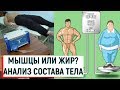 Биоимпедансный анализ состава тела