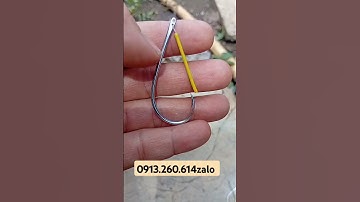 Lưỡi câu trứng rùa thép xịn