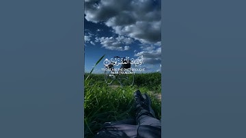 بلال دربالي - سورة الواقعة