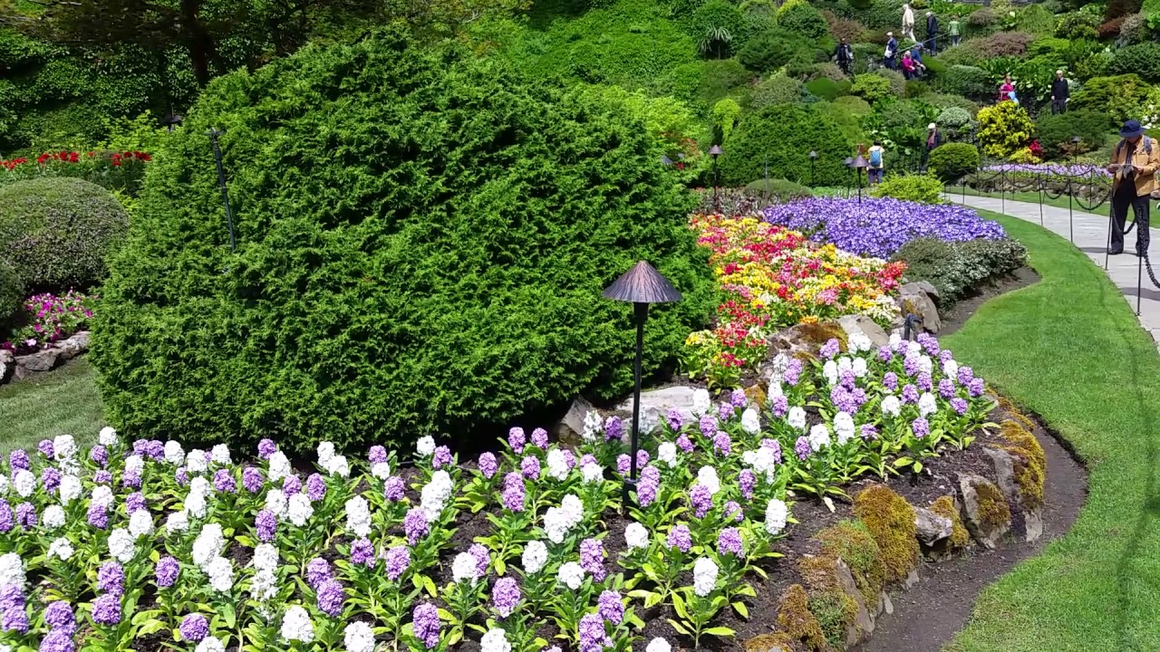 camera iphone 8 plus apk Gorgeous Flowers at Butchart Gardens, near Victoria, Vancouver Island, British Columbia, Canada