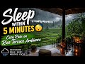 Sleep Within 5 Minutes 😴 Cozy Rain on Rice Terrace Ambience