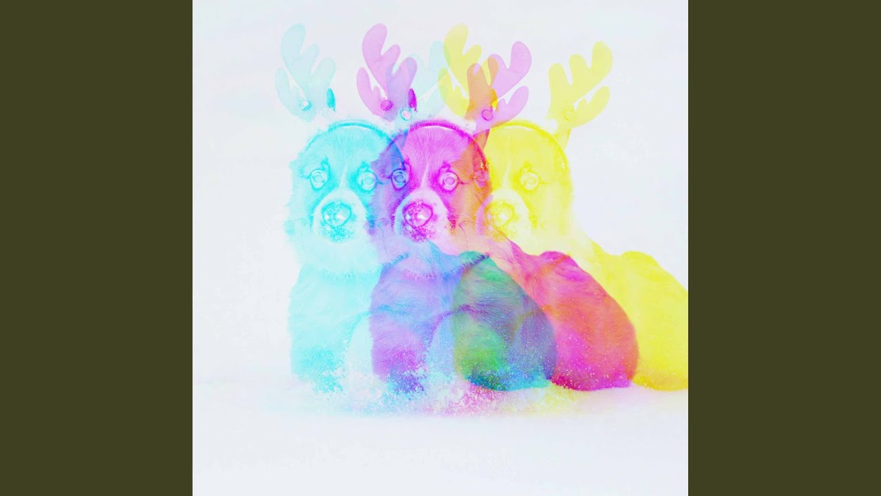 Subtle Cat Backgrounds Subtle Cat Friendly Puppy - YouTube