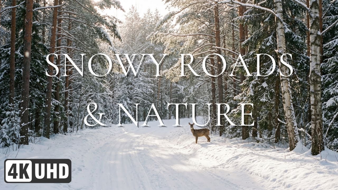 Peaceful Winter Roads ❄️ Gentle Music for a Calm Day