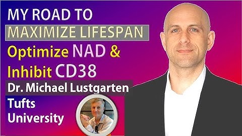 My Road to Maximize Lifespan - Optimize NAD & Inhibit CD38 | Dr. Michael Lustgarten | Part V