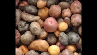 African Wild Potato Health Benefits & Side Effects