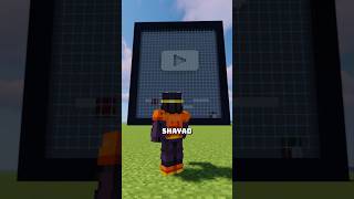I Should Not Do This In Minecraft