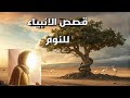 قصص الانبياء من سيدنا ادم الي يوسف وثائقي قبل النوم