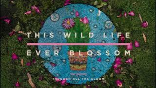 This Wild LIfe - Through All The Gloom