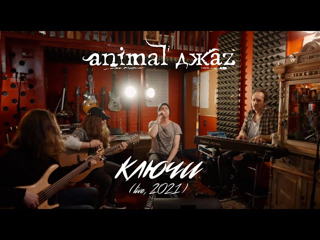 AnimalJazz - Ключи